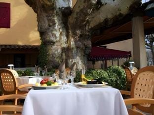 Le Grand Hotel Hotel in Aups