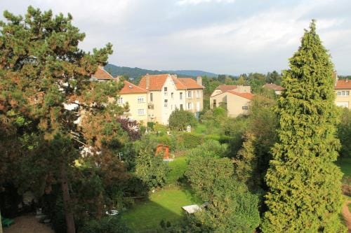Les Chambres de l'Ile Hotel in Metz