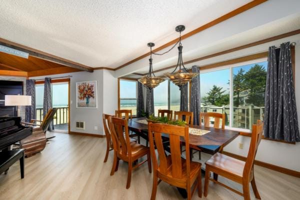 Little Creek Cove Beach Resort Motel in Newport