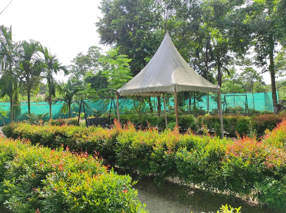 Homocation Samaina Cottage  Hotel in India