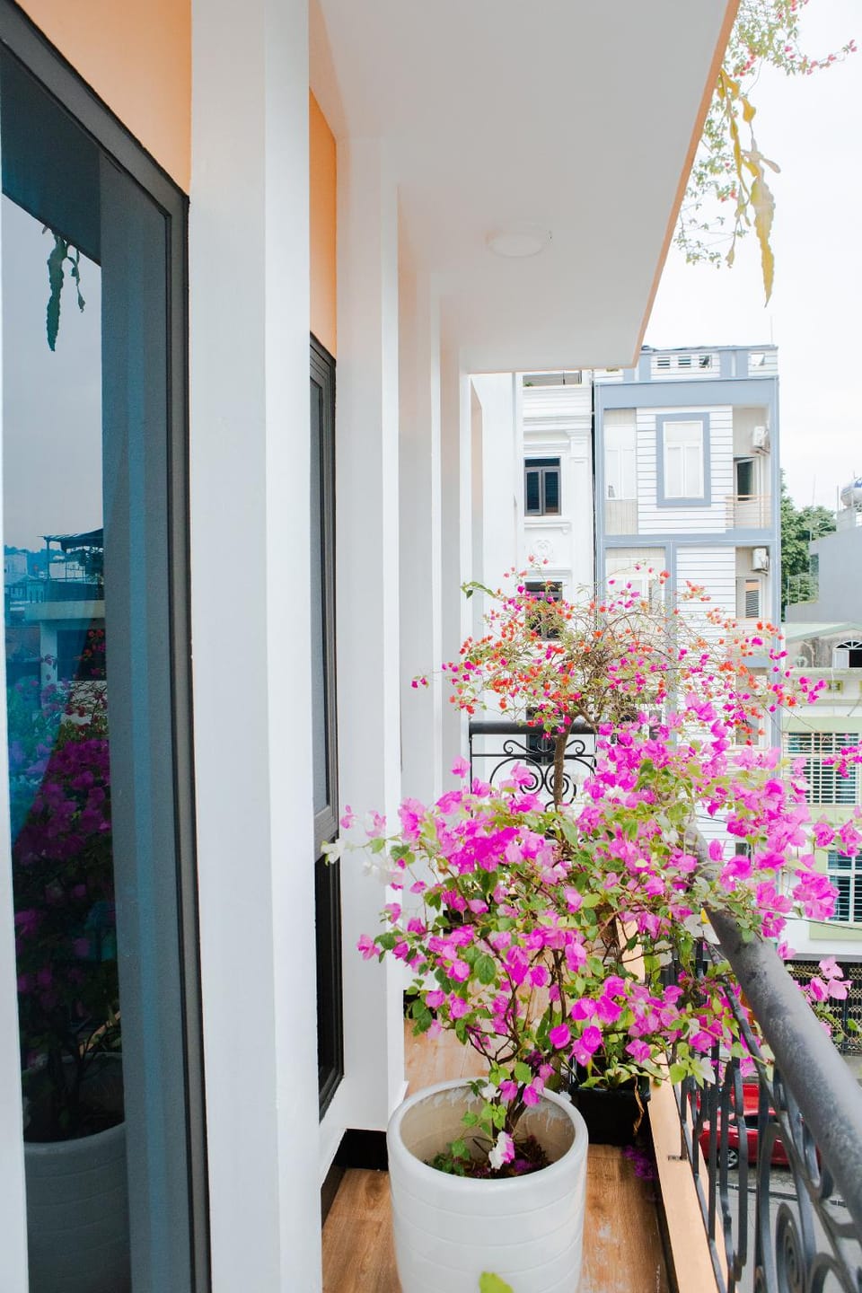 View