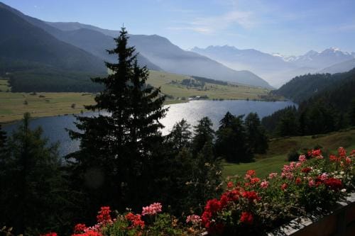 Appartement Sunnleitn Hotel in Trentino-South Tyrol