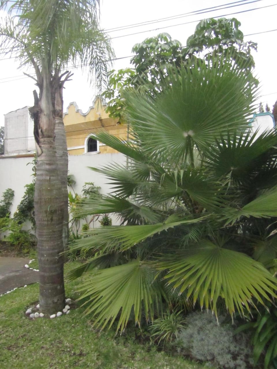 Auto Hotel Mediterraneo Hotel in Xalapa