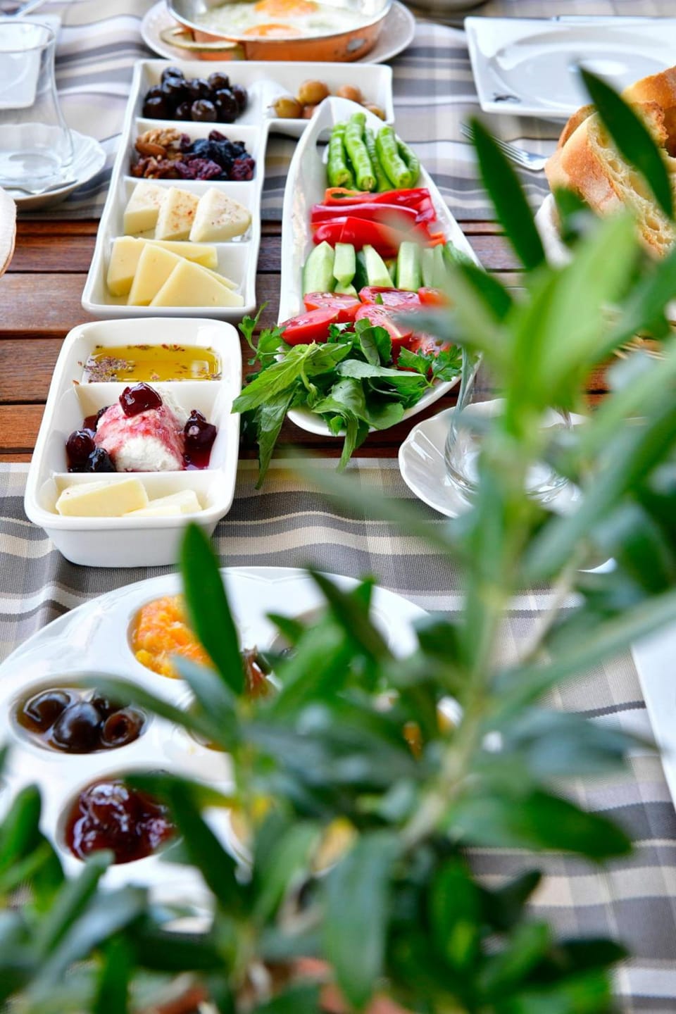 Siyah Lale Cunda 1841 Hotel in İzmir Province