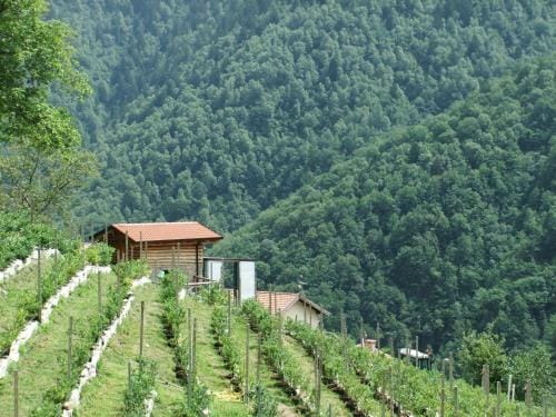 Foresteria Giardino Hostel in Province of Brescia