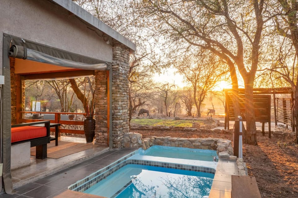 Foxy Crocodile Bush Lodge & Kruger Safaris Lodge in South Africa