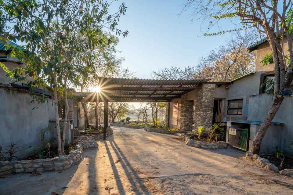 Foxy Crocodile Bush Lodge & Kruger Safaris Lodge in South Africa