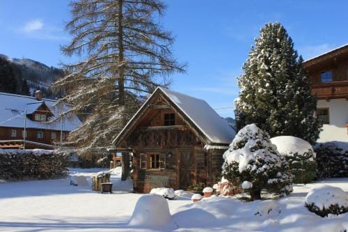Haus Alexander Hotel in Schladming