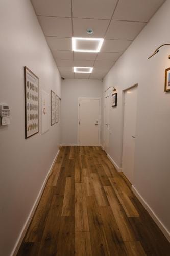 Birch Alley Self Check-In Hotel in Lithuania