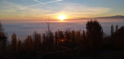 L'Albore Hotel in Piedmont