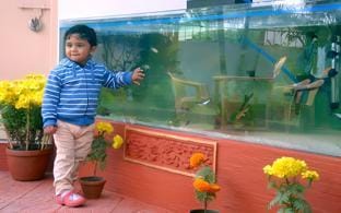 Shanti Neer Lodge Hotel in West Bengal