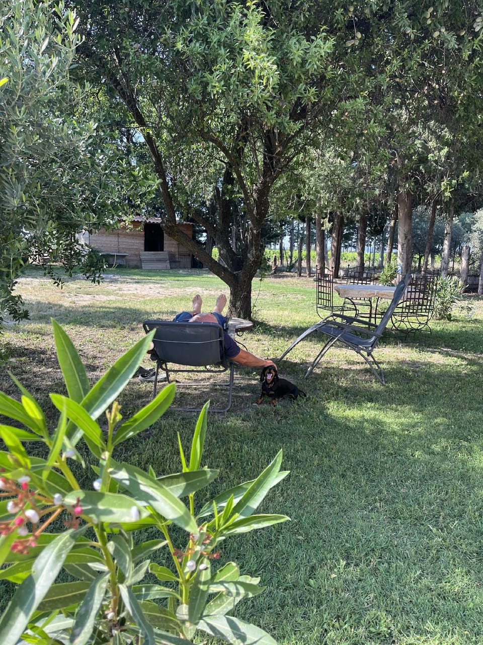 Gîtes Violettes et Amandier Hotel in Provence-Alpes-Côte d'Azur