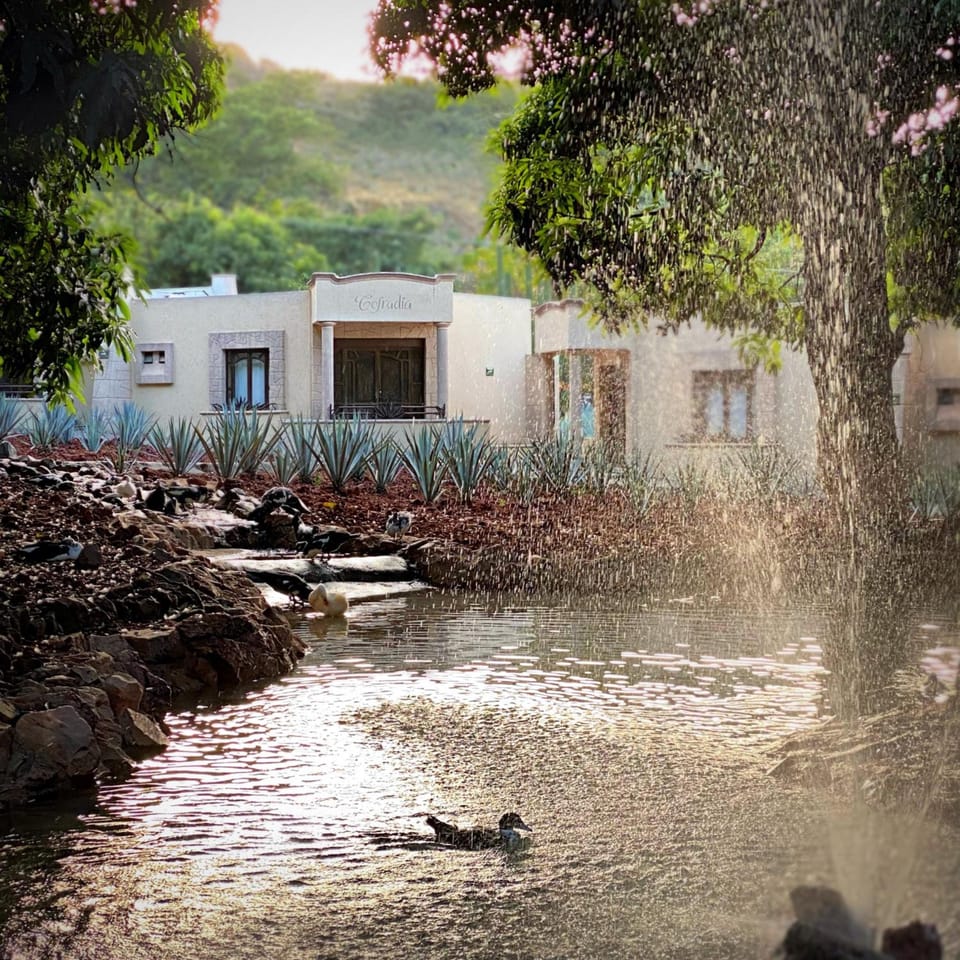 Matices Hotel de Barricas Hotel in Tequila