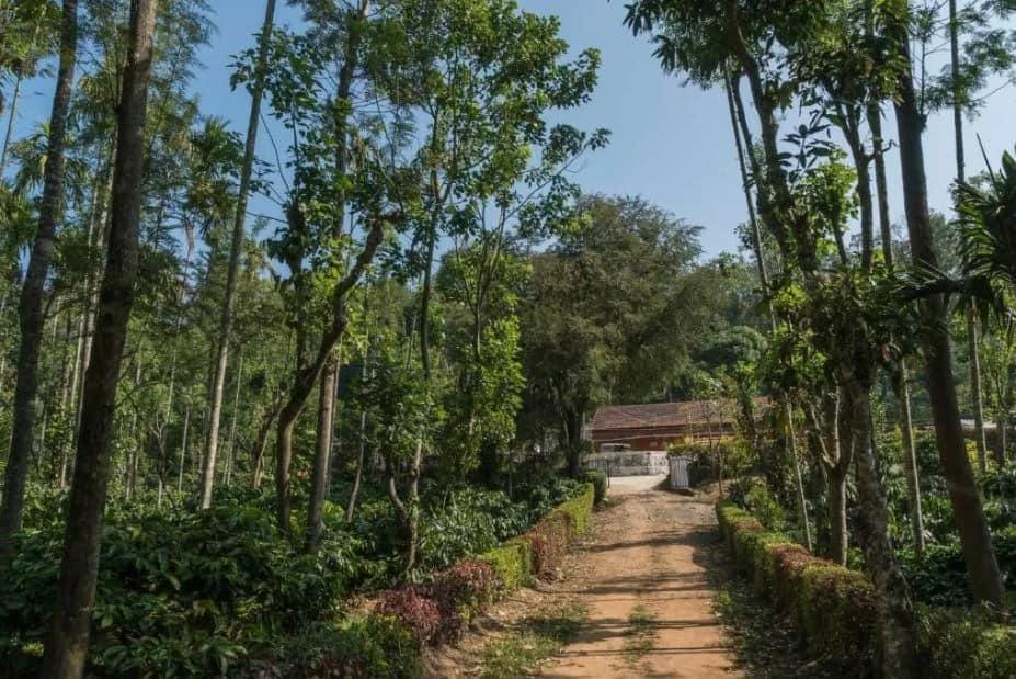 Green Glade Coorg Hotel in Kerala