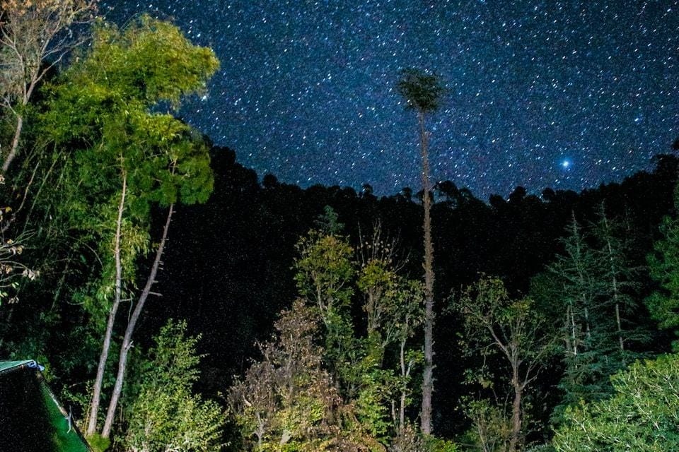 Jungle Stays Hotel in Himachal Pradesh