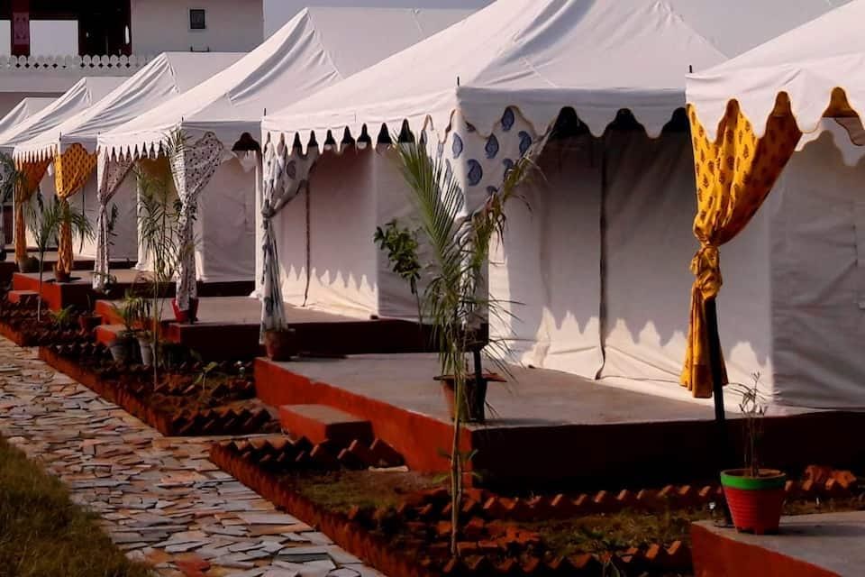 Ranthambhore Tiger Valley Hotel in Rajasthan