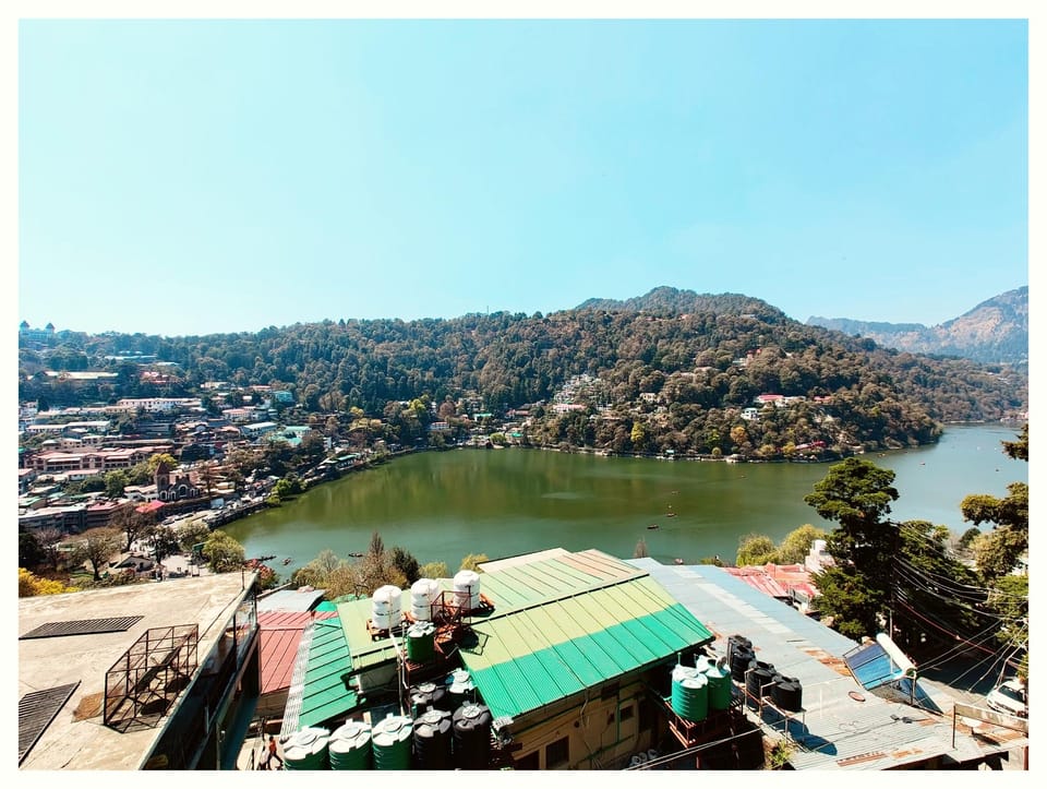 View