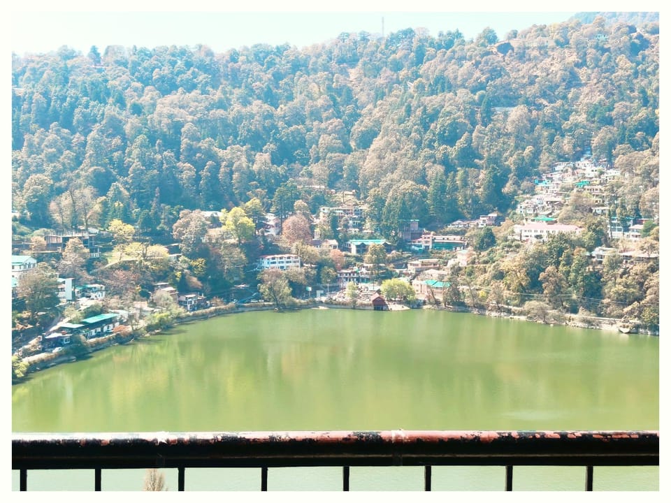 View