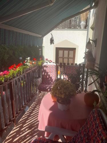 Sneza Hostel in Vojvodina