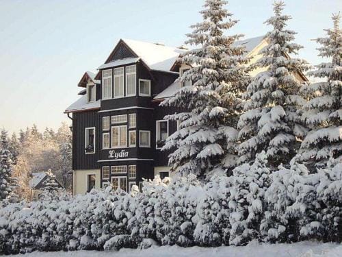 Villa Lydia Hotel in Sächsische Schweiz-Osterzgebirge
