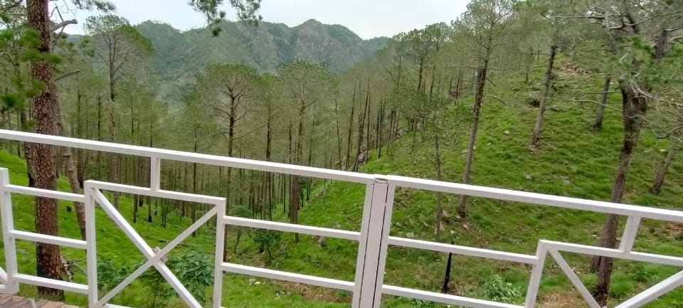 The Green Pine Cottage Apartment hotel in Uttarakhand