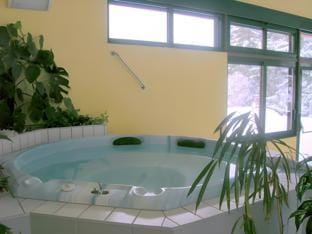 Hotel Du Donon Hotel in Vosges