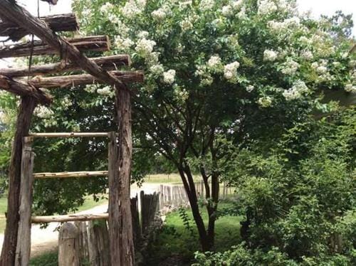 Last Outpost - Sophie's Cottage Hotel in Center Point