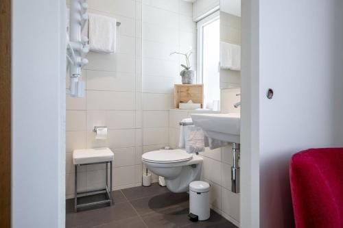 Hotel Zur Traube Hotel in Canton of Valais