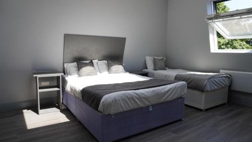 Roshni Hotel Hotel in Southall