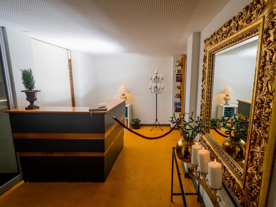 Hotel Rhyhof Hotel in Canton of Zurich