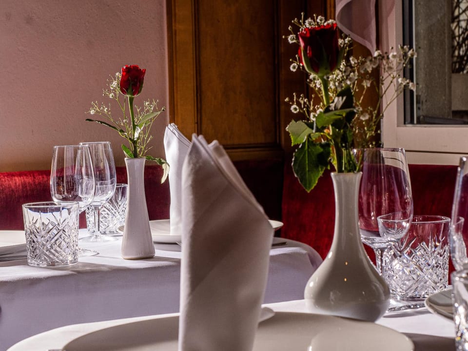 Hotel Rhyhof Hotel in Canton of Zurich