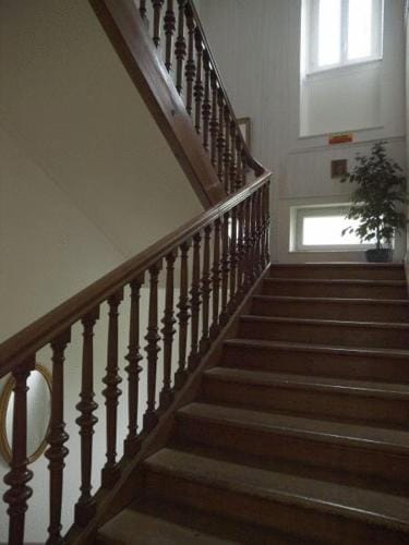 Hotel Garni Villa Carmen Hotel in Canton of Bern (Region)