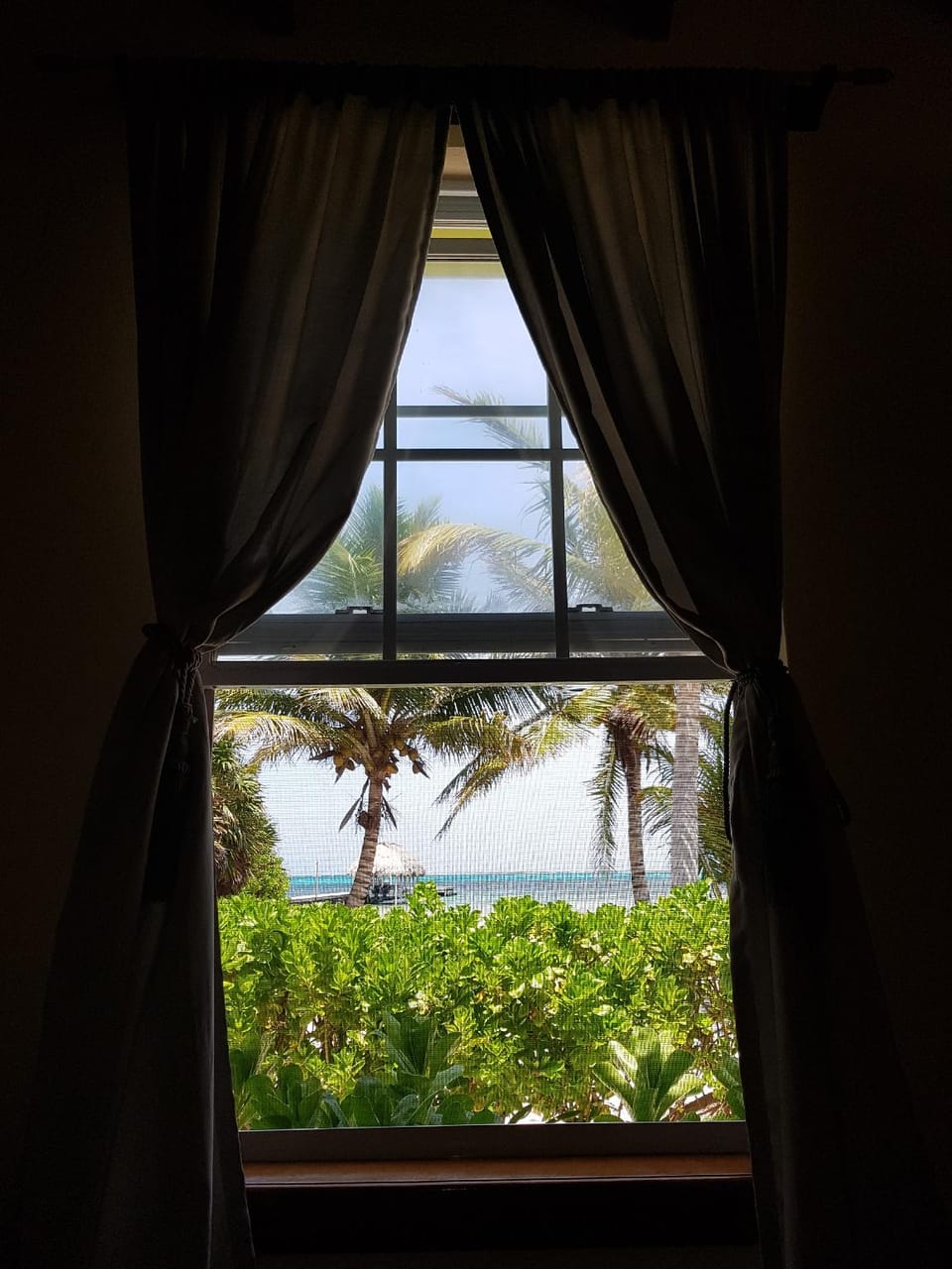 View