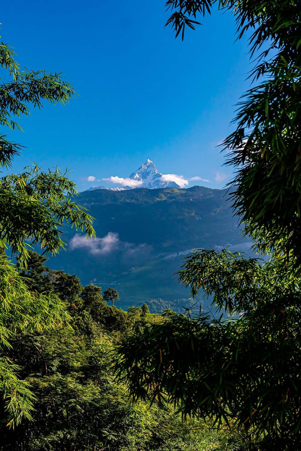The Hidden Camp Lodge in Bagmati Province, Nepal