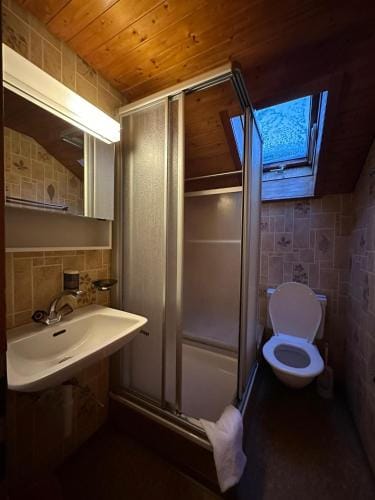 Hotel Baren Lodge Hotel in Canton of Valais