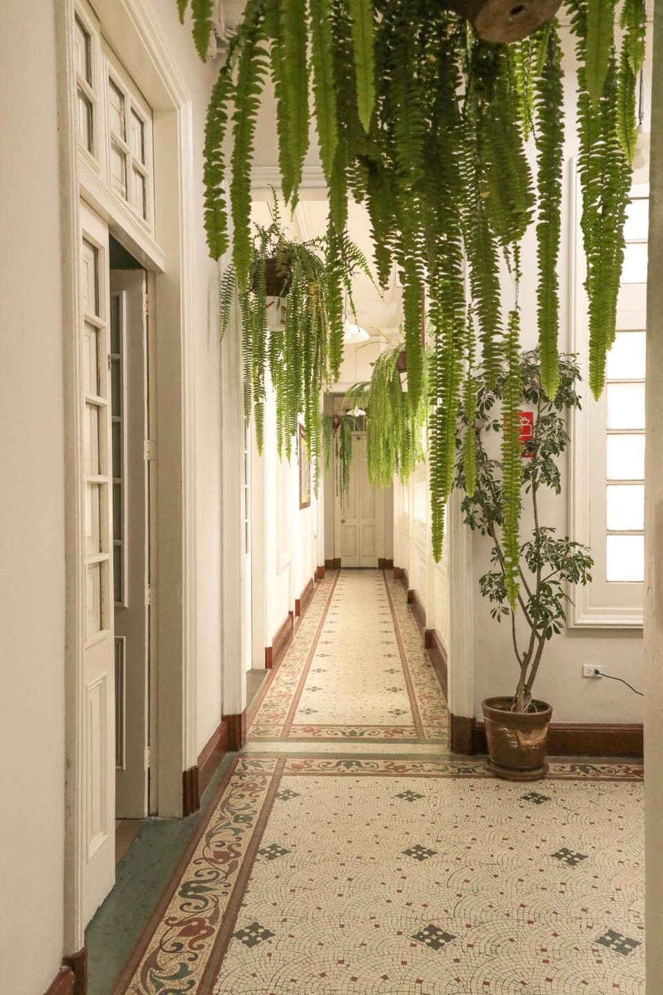 1900 Backpackers Hostel Hostel in Lima