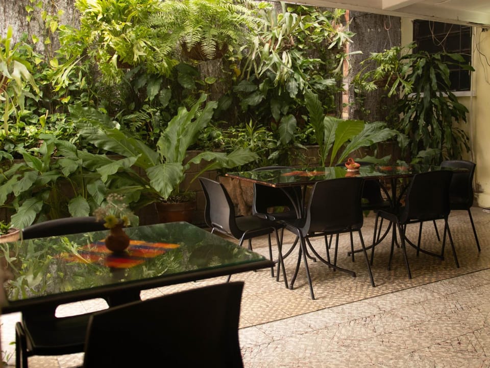 Eco Hotel Mariscal Hotel in San Salvador