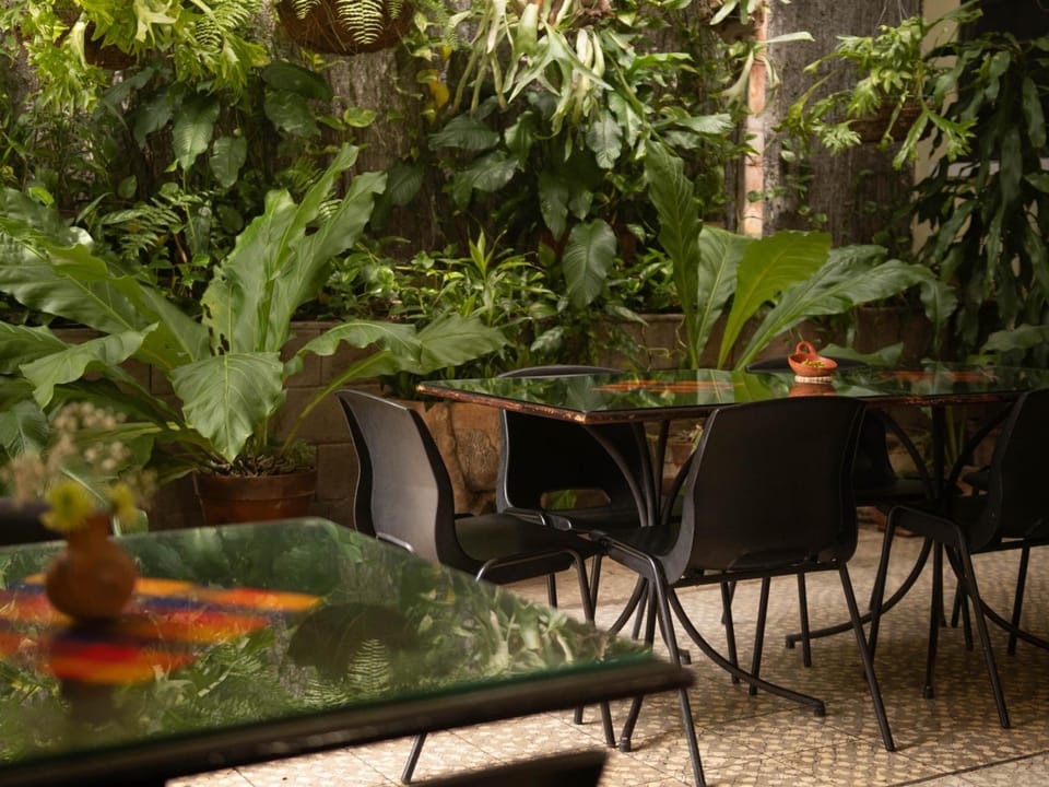 Eco Hotel Mariscal Hotel in San Salvador