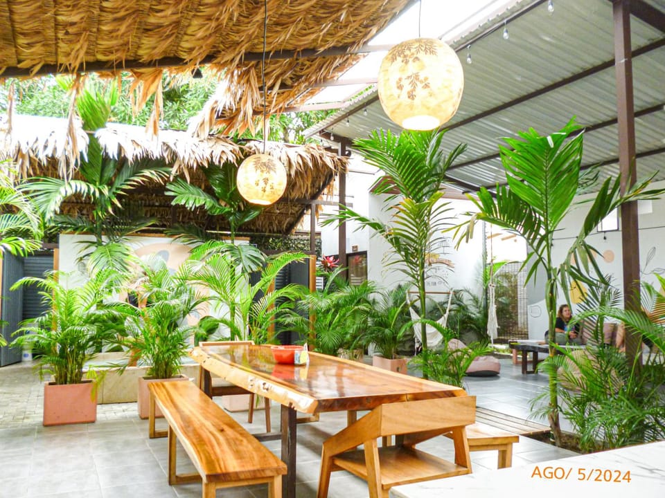 La Tribu Boutique Hostel for Women Hostel in Puerto Viejo Talamanca
