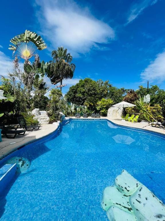 La Tribu Boutique Hostel for Women Hostel in Puerto Viejo Talamanca