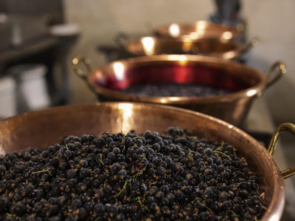 greet Lille Gare Flandres Hotel in Lille