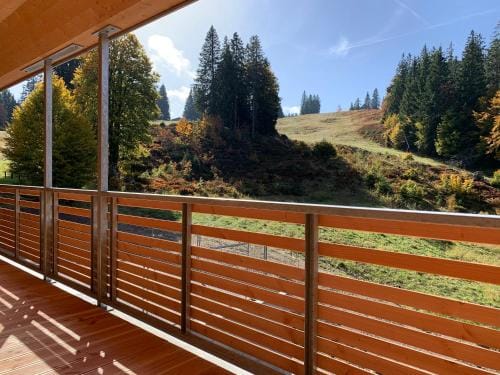 Ferienwohnung Feldberg Schwarzwald - Wolke 8 - Hotel in Baden-Württemberg