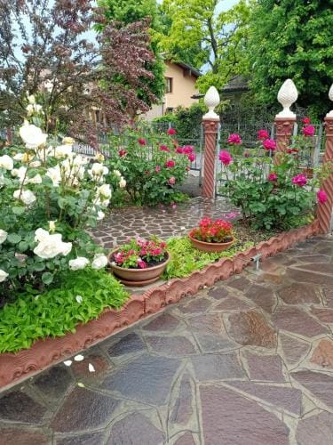 LILY - STORIE DEL BOSCO - Hotel in Veneto