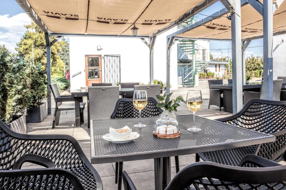 Hotel Slavia Hotel in South Moravian Region
