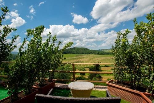 Torciano Hotel Wine & Winery, Tuscany Hotel in Tuscany