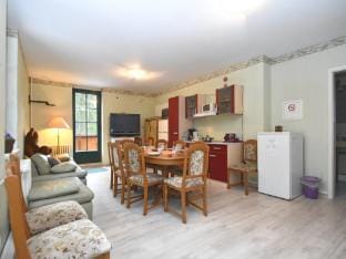 Retreat with Sauna, Hot Tub Hotel in Erzgebirgskreis