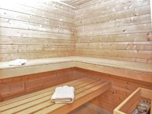 Retreat with Sauna, Hot Tub Hotel in Erzgebirgskreis