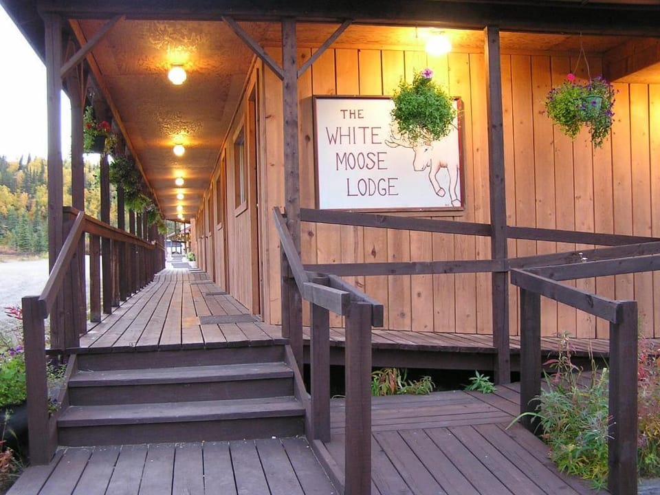 White Moose Lodge Hotel in Healy