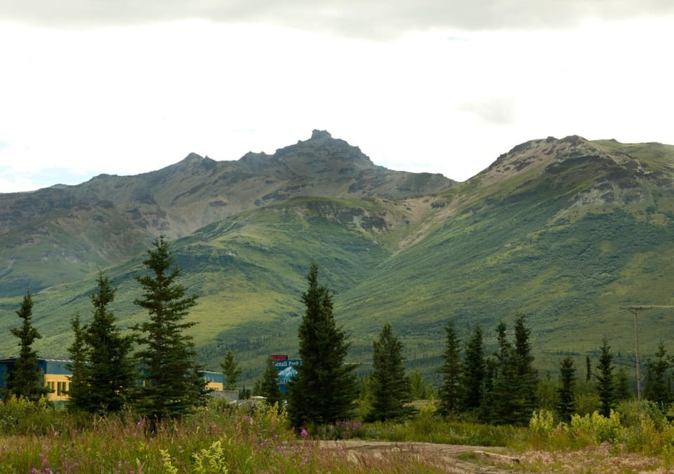 Denali Park Hotel Motel in Healy