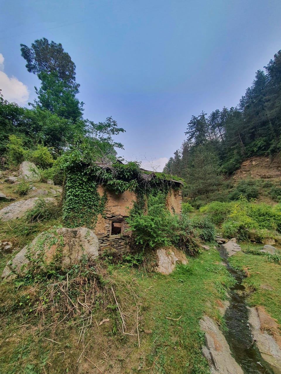Backwoods Retreat Resort in Shimla